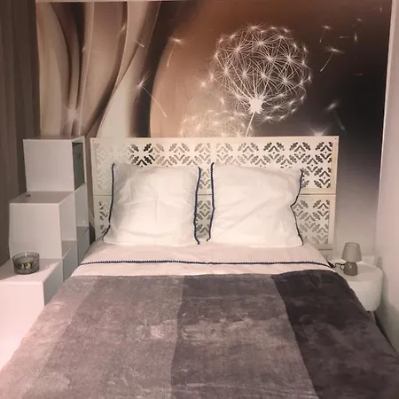 Cosy 4 아미앵